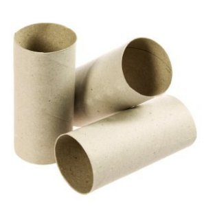 Cardboard Rolls 36 pack