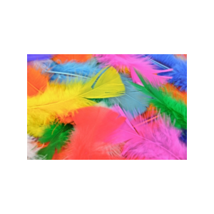 Feathers Asstd Colours 250pk